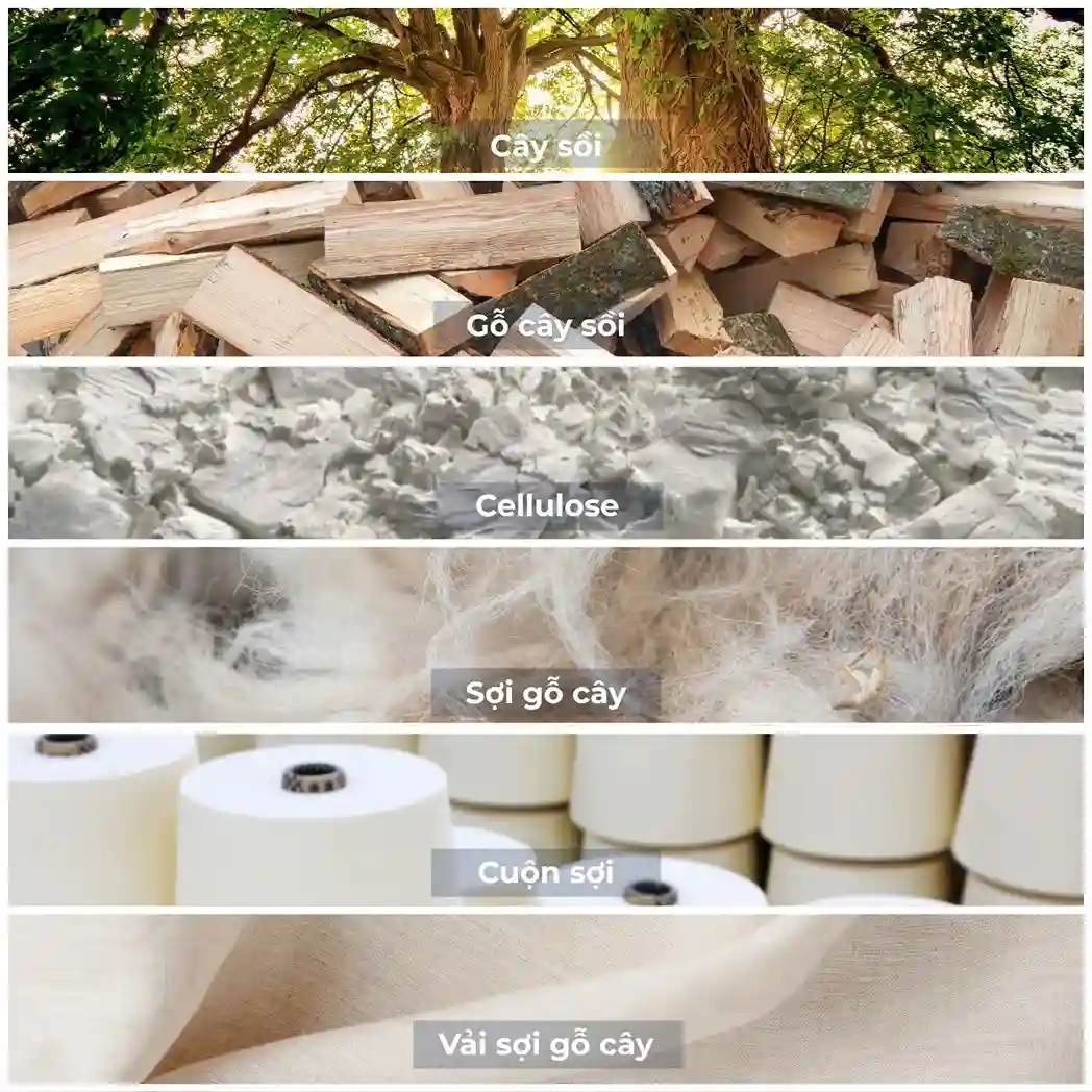 Quy trình sản xuất ra sợi Woodfibers